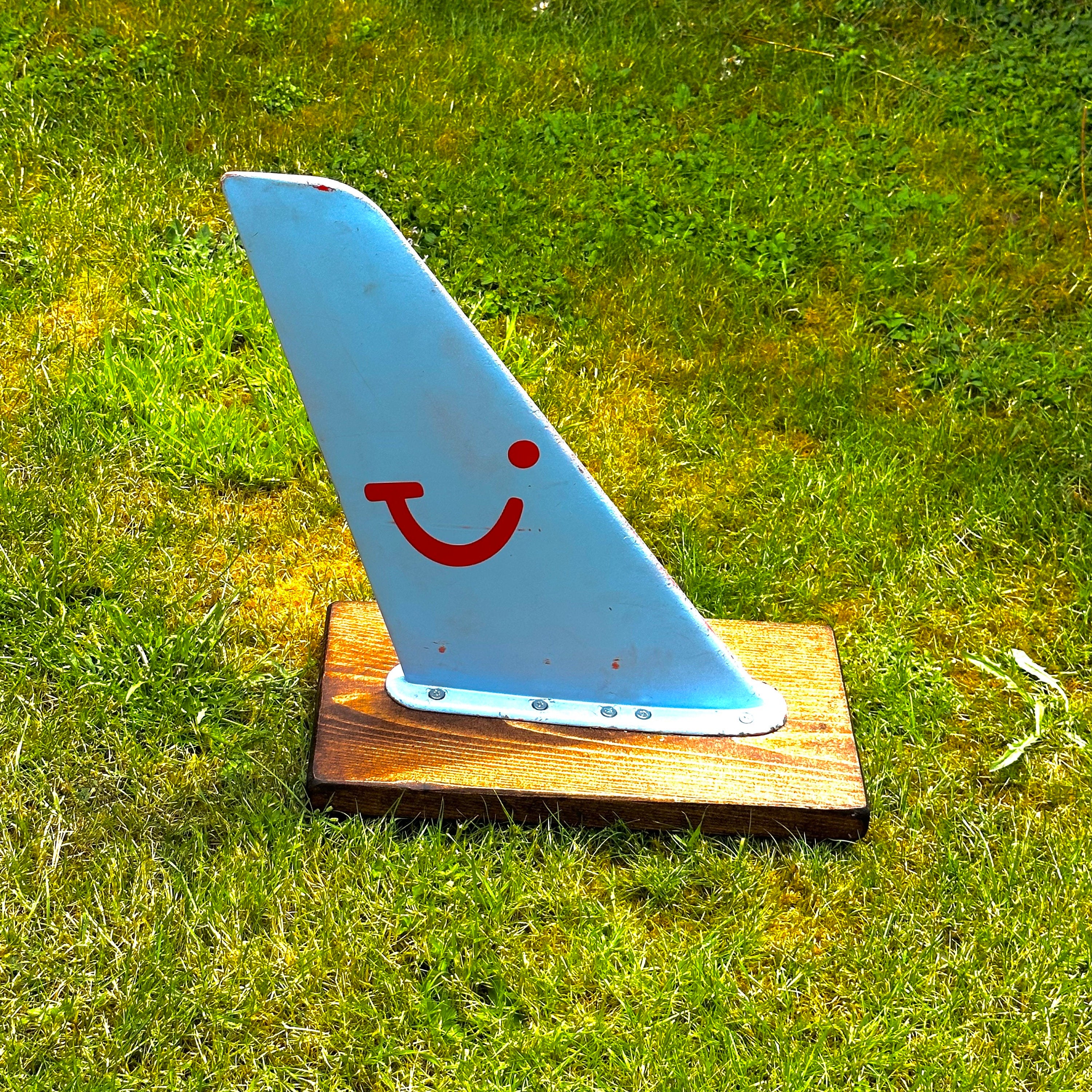 Tui Airways Mounted VHF Antenna Upcycled Ornament Paperweight RAF MOD adour boeing airbus pilot aviator