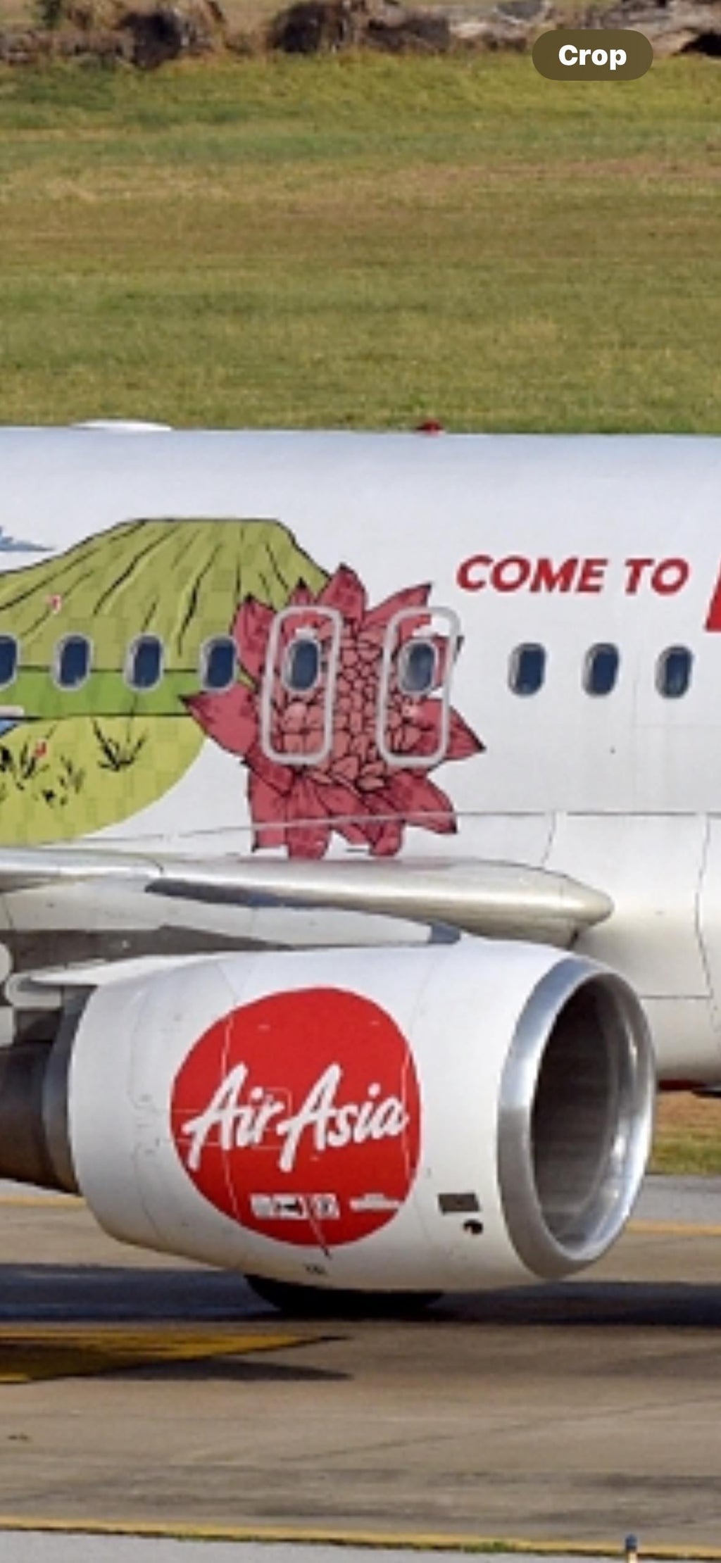 Air Asia Airasia Airbus A320 A320-200 PK-AZR Indonesia Lake Toba Livery Special Paint OWE Door Upcycled A321 Crew Decal sticker Printed lux