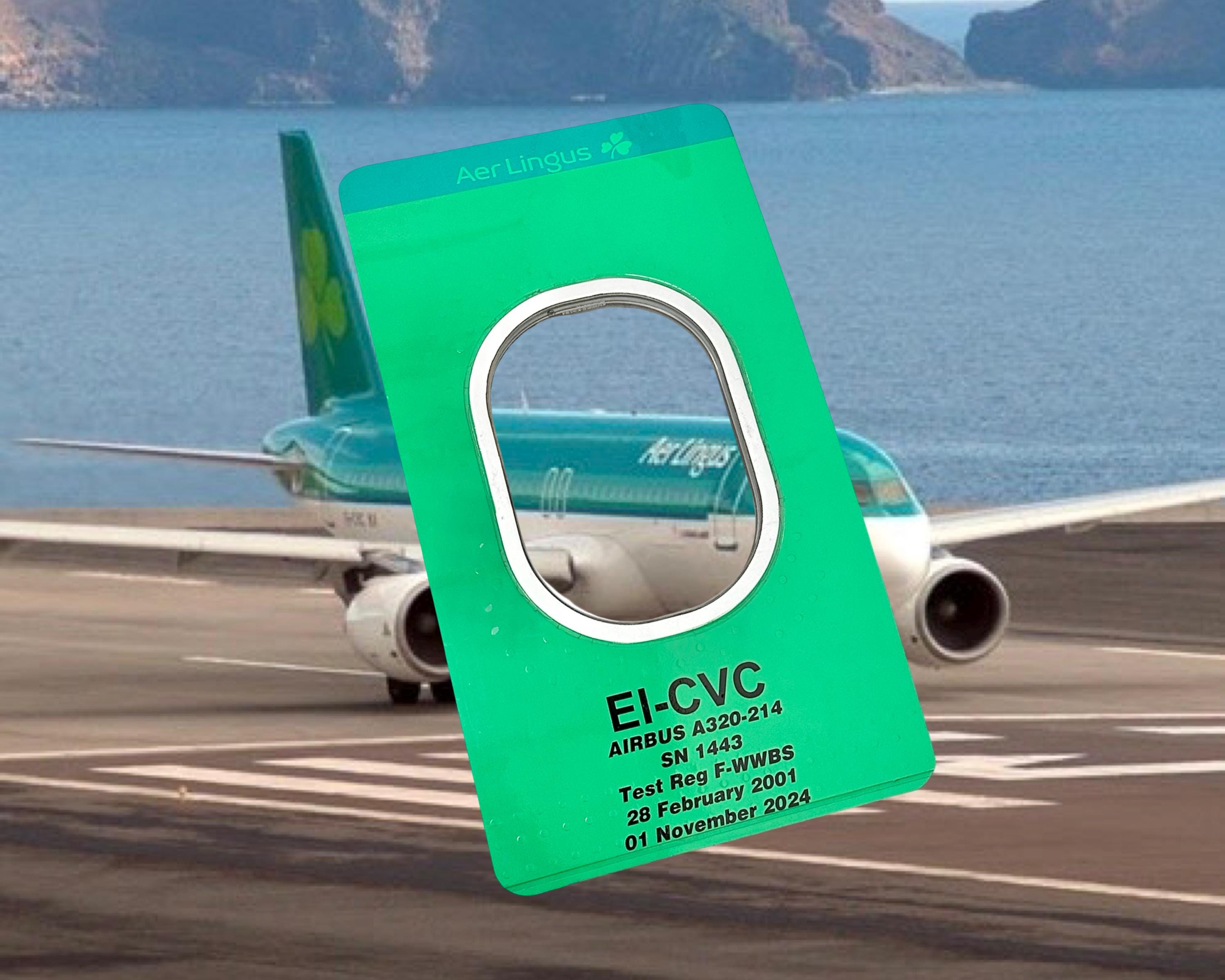 Aer Lingus EI-CVC Airbus A320 Window fuselage Cut Airline Aviation Upcycle Boeing Gift Plane Aircraft Aviator limited edition irish ireland